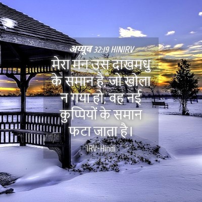 Picture 04 - अय्यूब 32:19 HINIRV - मेरा मन उस दाखमधु - Bible Verse Picture