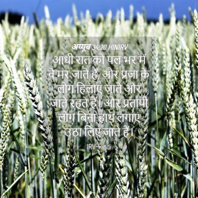 Picture 04 - अय्यूब 34:20 HINIRV - आधी रात को पल भर - Bible Verse Picture