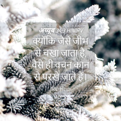 Picture 04 - अय्यूब 34:3 HINIRV - क्योंकि जैसे जीभ - Bible Verse Picture