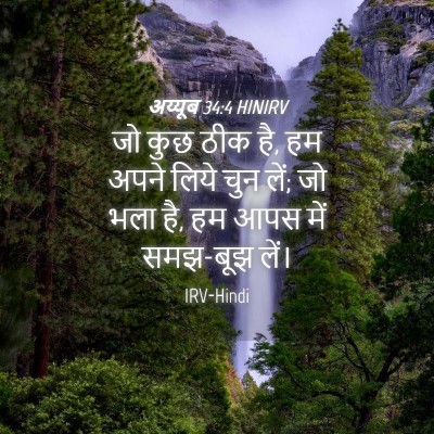 Picture 04 - अय्यूब 34:4 HINIRV - जो कुछ ठीक है, हम - Bible Verse Picture