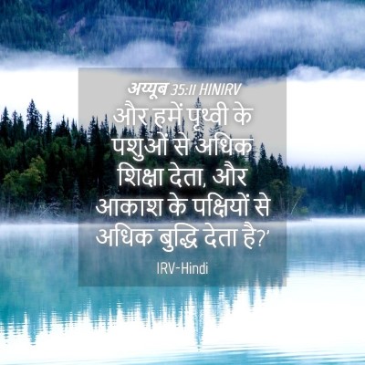 Picture 04 - अय्यूब 35:11 HINIRV - और हमें पृथ्वी के - Bible Verse Picture