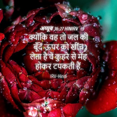 Picture 04 - अय्यूब 36:27 HINIRV - क्योंकि वह तो जल की - Bible Verse Picture