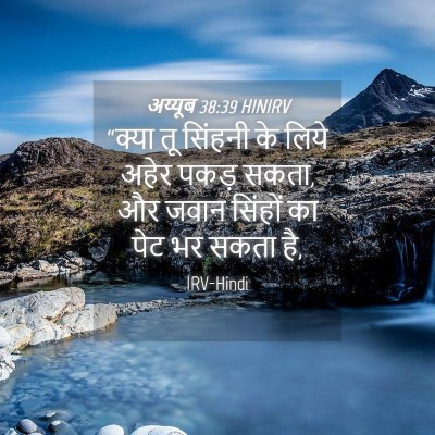 Picture 04 - अय्यूब 38:39 HINIRV - “क्या तू सिंहनी के - Bible Verse Picture