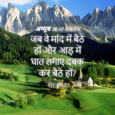 Picture 04 - अय्यूब 38:40 HINIRV - जब वे मांद में बैठे - Bible Verse Picture