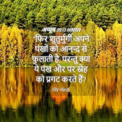 Picture 04 - अय्यूब 39:13 HINIRV - “फिर शुतुर्मुर्गी - Bible Verse Picture