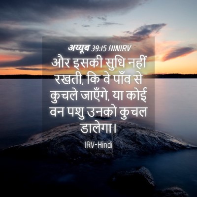 Picture 04 - अय्यूब 39:15 HINIRV - और इसकी सुधि नहीं - Bible Verse Picture