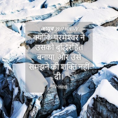Picture 04 - अय्यूब 39:17 HINIRV - क्योंकि परमेश्‍वर - Bible Verse Picture