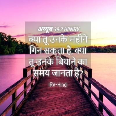 Picture 04 - अय्यूब 39:2 HINIRV - क्या तू उनके महीने - Bible Verse Picture