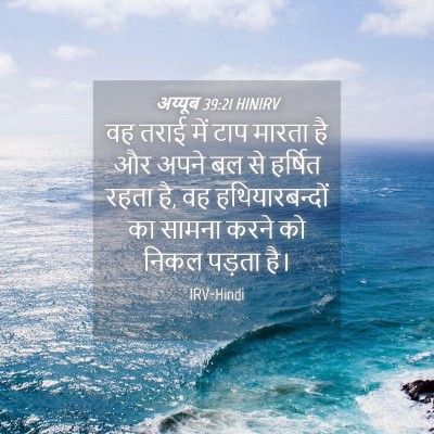Picture 04 - अय्यूब 39:21 HINIRV - वह तराई में टाप - Bible Verse Picture