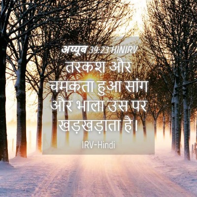 Picture 04 - अय्यूब 39:23 HINIRV - तरकश और चमकता हुआ - Bible Verse Picture