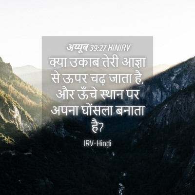 Picture 04 - अय्यूब 39:27 HINIRV - क्या उकाब तेरी - Bible Verse Picture