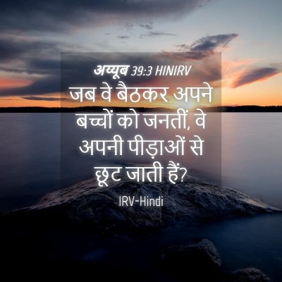 Picture 04 - अय्यूब 39:3 HINIRV - जब वे बैठकर अपने - Bible Verse Picture