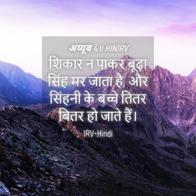 Picture 04 - अय्यूब 4:11 HINIRV - शिकार न पाकर बूढ़ा - Bible Verse Picture