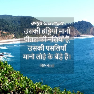 Picture 04 - अय्यूब 40:18 HINIRV - उसकी हड्डियाँ - Bible Verse Picture