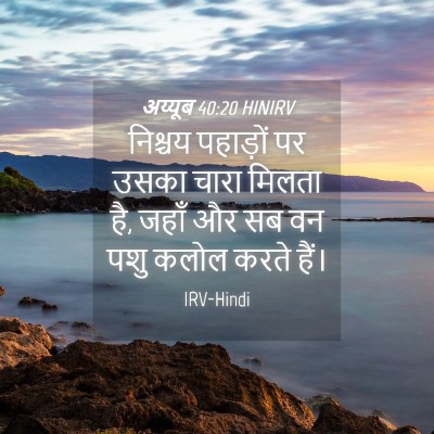 Picture 04 - अय्यूब 40:20 HINIRV - निश्चय पहाड़ों पर - Bible Verse Picture