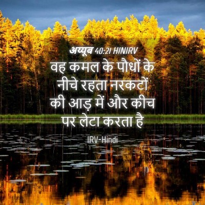 Picture 04 - अय्यूब 40:21 HINIRV - वह कमल के पौधों के - Bible Verse Picture