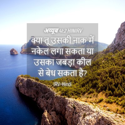 Picture 04 - अय्यूब 41:2 HINIRV - क्या तू उसकी नाक - Bible Verse Picture