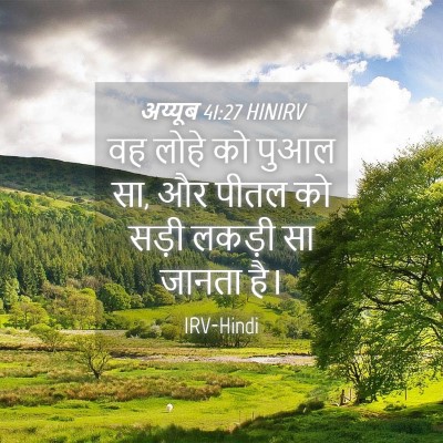 Picture 04 - अय्यूब 41:27 HINIRV - वह लोहे को पुआल सा, - Bible Verse Picture