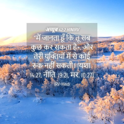 Picture 04 - अय्यूब 42:2 HINIRV - “मैं जानता हूँ कि - Bible Verse Picture