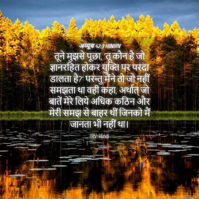 Picture 04 - अय्यूब 42:3 HINIRV - तूने मुझसे पूछा, - Bible Verse Picture