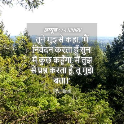 Picture 04 - अय्यूब 42:4 HINIRV - तूने मुझसे कहा, - Bible Verse Picture