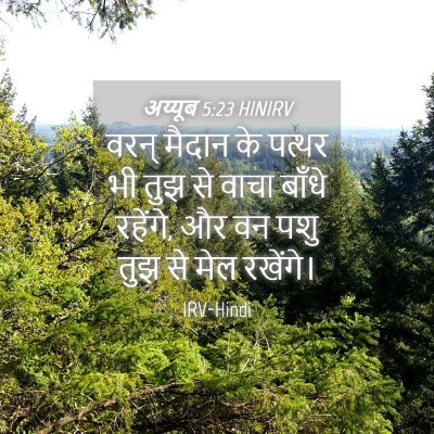 Picture 04 - अय्यूब 5:23 HINIRV - वरन् मैदान के - Bible Verse Picture