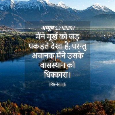 Picture 04 - अय्यूब 5:3 HINIRV - मैंने मूर्ख को जड़ - Bible Verse Picture