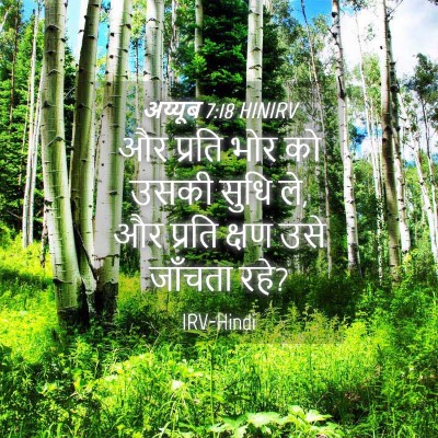 Picture 04 - अय्यूब 7:18 HINIRV - और प्रति भोर को - Bible Verse Picture