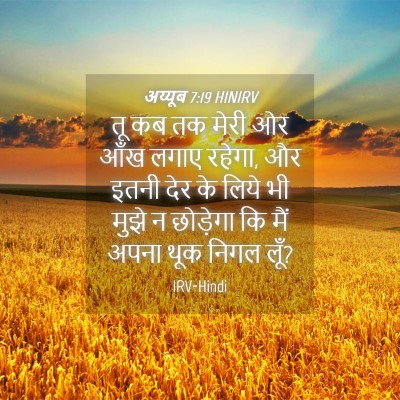 Picture 04 - अय्यूब 7:19 HINIRV - तू कब तक मेरी ओर - Bible Verse Picture