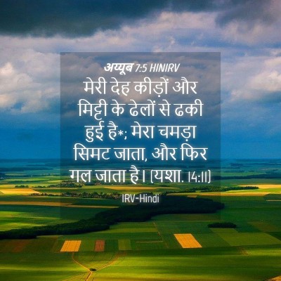 Picture 04 - अय्यूब 7:5 HINIRV - मेरी देह कीड़ों और - Bible Verse Picture