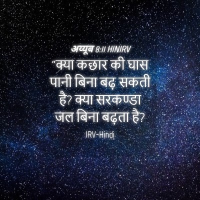 Picture 04 - अय्यूब 8:11 HINIRV - “क्या कछार की घास - Bible Verse Picture