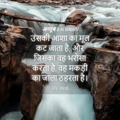 Picture 04 - अय्यूब 8:14 HINIRV - उसकी आशा का मूल कट - Bible Verse Picture