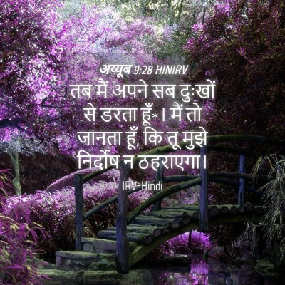 Picture 04 - अय्यूब 9:28 HINIRV - तब मैं अपने सब - Bible Verse Picture