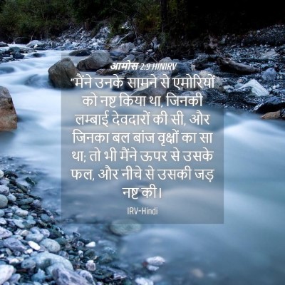 Picture 04 - आमोस 2:9 HINIRV - “मैंने उनके सामने - Bible Verse Picture