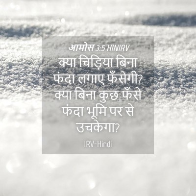Picture 04 - आमोस 3:5 HINIRV - क्या चिड़िया बिना - Bible Verse Picture