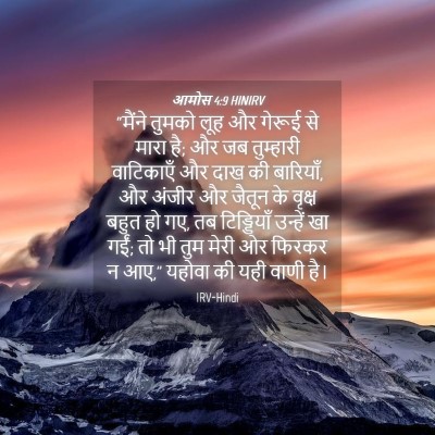 Picture 04 - आमोस 4:9 HINIRV - “मैंने तुमको लूह - Bible Verse Picture