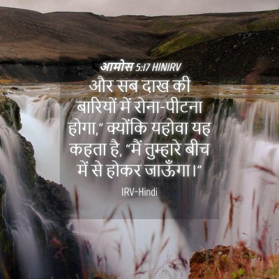 Picture 04 - आमोस 5:17 HINIRV - और सब दाख की - Bible Verse Picture