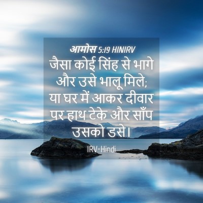 Picture 04 - आमोस 5:19 HINIRV - जैसा कोई सिंह से - Bible Verse Picture