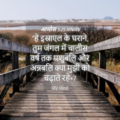 Picture 04 - आमोस 5:25 HINIRV - “हे इस्राएल के - Bible Verse Picture