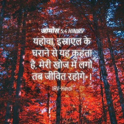 Picture 04 - आमोस 5:4 HINIRV - यहोवा, इस्राएल के - Bible Verse Picture