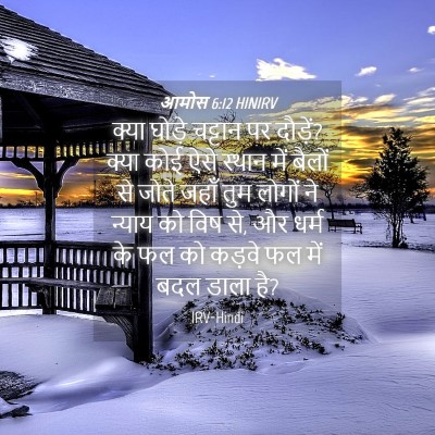 Picture 04 - आमोस 6:12 HINIRV - क्या घोड़े चट्टान - Bible Verse Picture