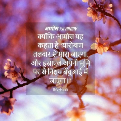 Picture 04 - आमोस 7:11 HINIRV - क्योंकि आमोस यह - Bible Verse Picture