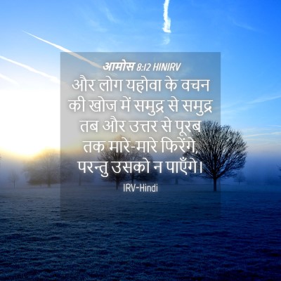 Picture 04 - आमोस 8:12 HINIRV - और लोग यहोवा के वचन - Bible Verse Picture