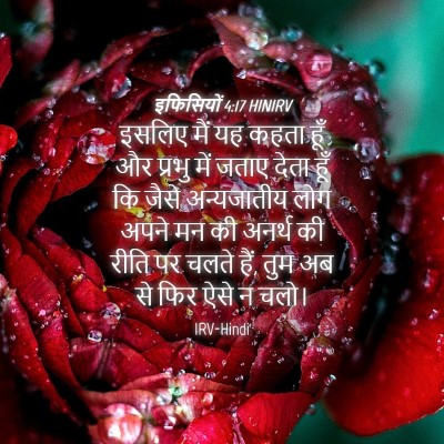 Picture 04 - इफिसियों 4:17 HINIRV - इसलिए मैं यह कहता - Bible Verse Picture