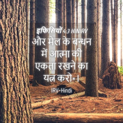 Picture 04 - इफिसियों 4:3 HINIRV - और मेल के बन्धन में - Bible Verse Picture