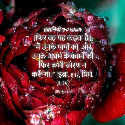 Picture 04 - इब्रानियों 10:17 HINIRV - (फिर वह यह कहता है,) - Bible Verse Picture