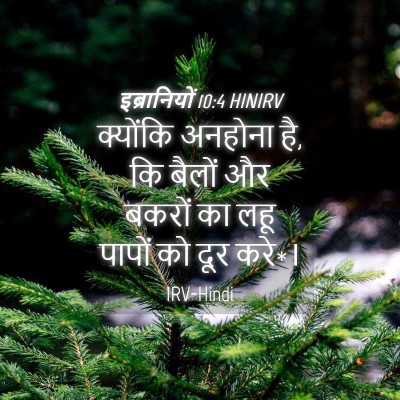 Picture 04 - इब्रानियों 10:4 HINIRV - क्योंकि अनहोना है, - Bible Verse Picture