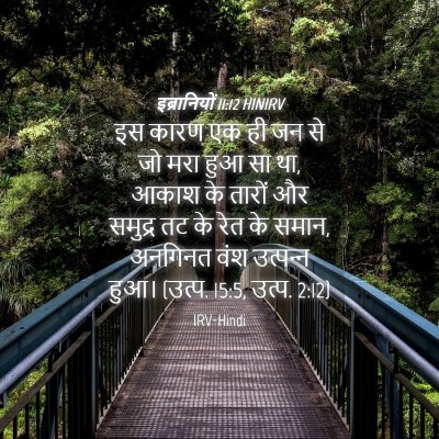 Picture 04 - इब्रानियों 11:12 HINIRV - इस कारण एक ही जन से - Bible Verse Picture