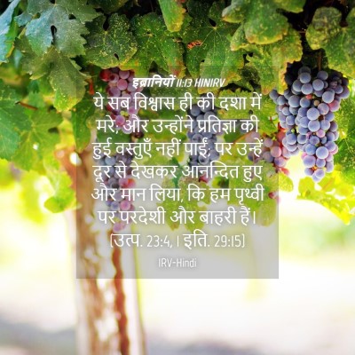 Picture 04 - इब्रानियों 11:13 HINIRV - ये सब विश्वास ही की - Bible Verse Picture