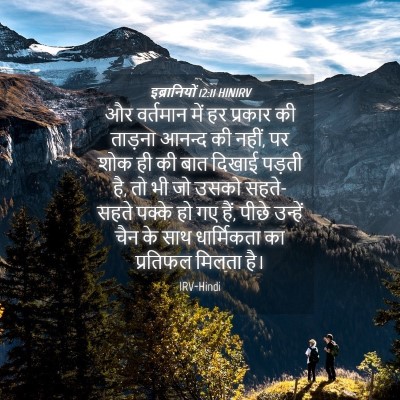Picture 04 - इब्रानियों 12:11 HINIRV - और वर्तमान में हर - Bible Verse Picture